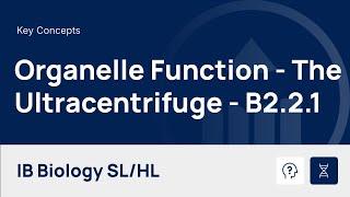 Organelle Function and the Ultracentrifuge video thumbnail